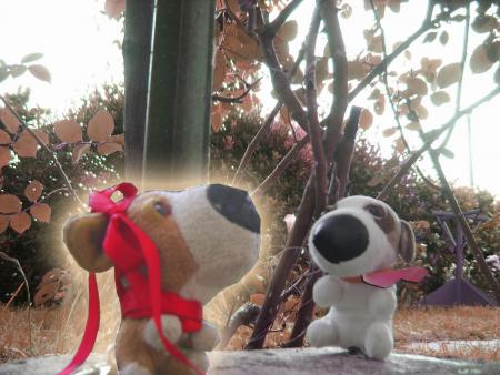 THE rencontre avec Bernadette